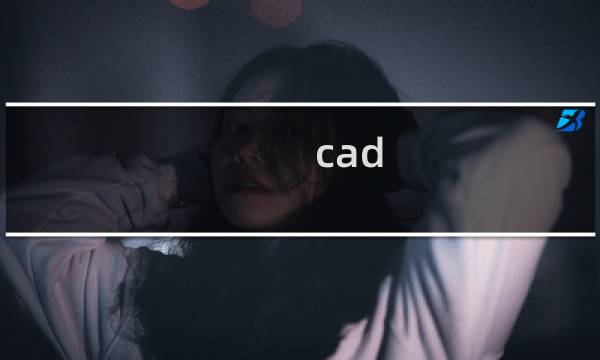 cad 清理 - cad很大怎么清理